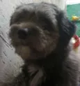 Marley