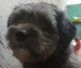 Marley