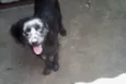 fiona