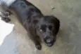 fiona