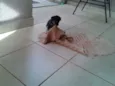 PITOKA