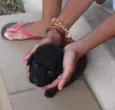 felipe