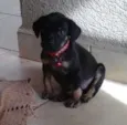 PITOKA