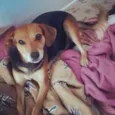 Princesa e Negão