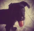Lola