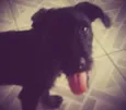 Lola