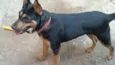 Princesa