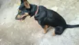 Princesa