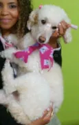 Estrela