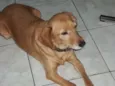 nina