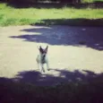 Marley