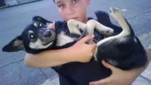 Cachorro raça SRD idade 7 a 11 meses nome Pequena