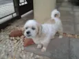 desconhecido