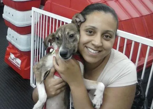 Cachorro ra a SRD idade 1 ano nome Manolo