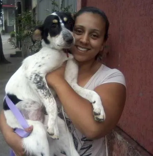 Cachorro ra a SRD idade 5 anos nome Mabel