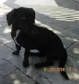 nao sei