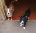 Ruth e Raquel