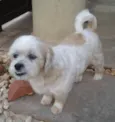 desconhecido