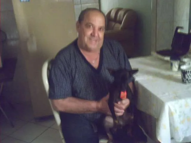 Cachorro raça Pinscher idade 1 ano nome Mickey