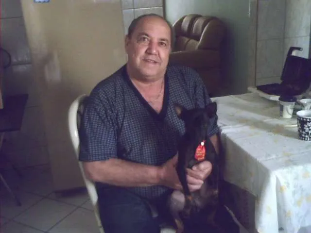 Cachorro raça Pinscher idade 1 ano nome Mickey