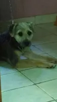 Bairon