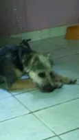 Bairon