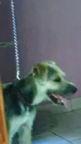 Bairon