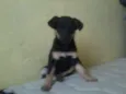 Sem nome
