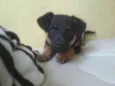 Sem nome