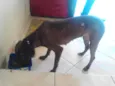 Julieta