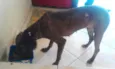 Julieta