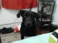 Baco
