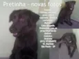 Pretinha
