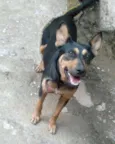 Princesa
