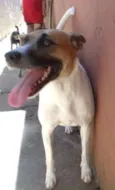 Neli
