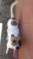 Neli