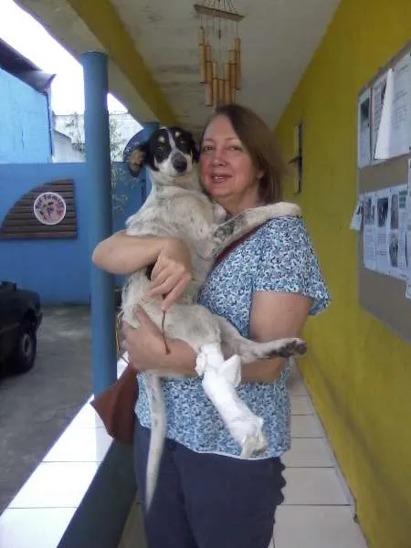 Cachorro ra a SRD idade 5 anos nome Mabel
