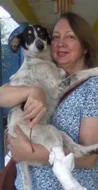 Cachorro ra a SRD idade 5 anos nome Mabel