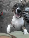 Manolo