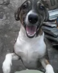 Manolo