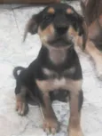 Lindinha