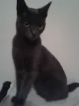 Princesa