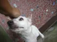 Menina