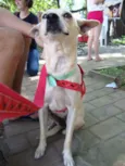 Lela