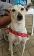 Lela