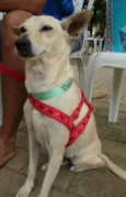 Lela