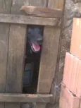 toto