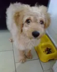 Marley