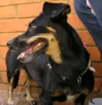 Pequerrucha