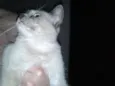 Nina
